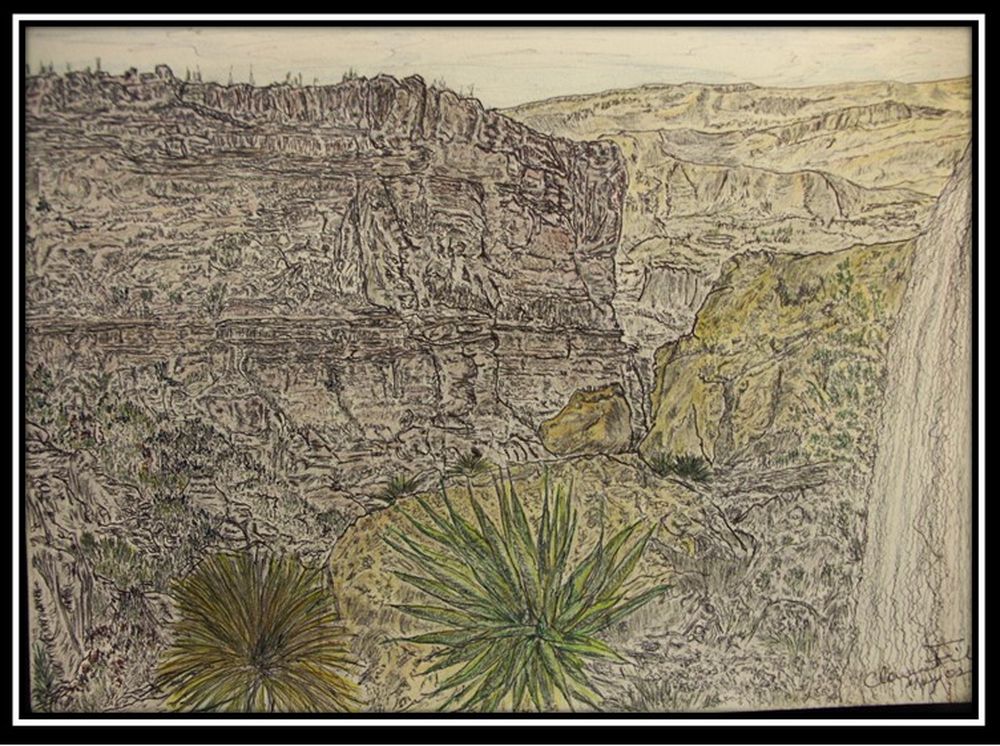 {}{[|] Dibujos de Clarence Fisk};{Agave};{Cascada};{Quebrada};{eTg};{@Place=Norte de Chile};{@Date=2002};{@Author=Clarence Fisk ll};{[ATHR]Clarence Fisk ll