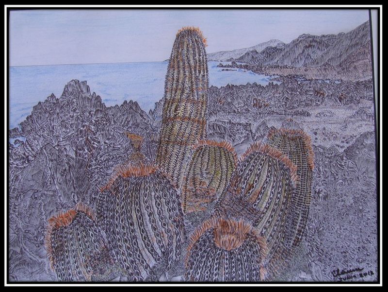 {}{[|] Dibujos de Clarence Fisk};{Cactus};{Cordillera de la Costa};{Oceano Pacifico};{eTg};{Chile};{Los Vilos};{Costa};{Pacífico};{@Place=Chile};{@Date=2013};{@Author=Clarence Fisk ll};{[ATHR]Clarence Fisk ll